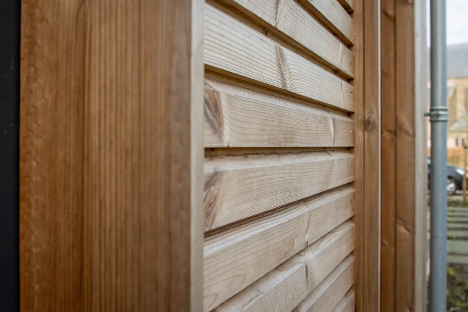 Hollandia — image 7