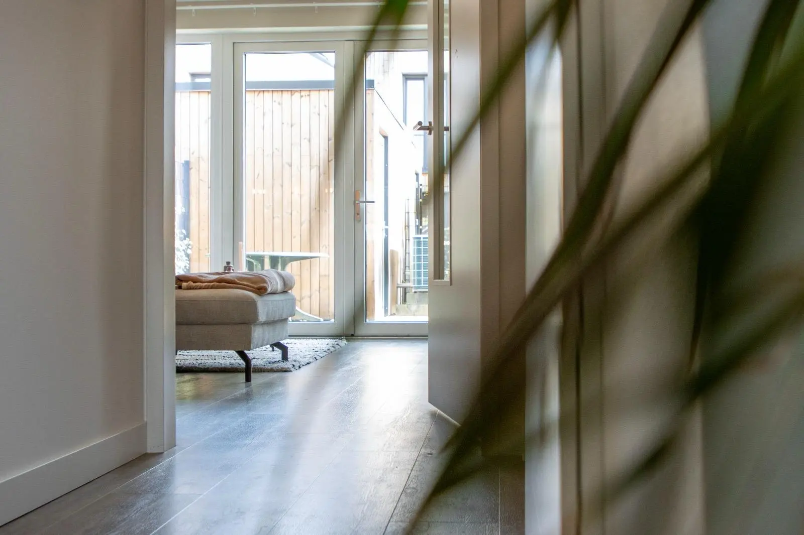 Hollandia — image 8